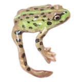(sp) Tree Frogs Rings Anéis Abertos Ajustáveis De Alta Liga