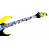 1 Adesivo Floral Steve Vai Ibanez Escala 24trast Fretegrátis