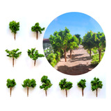 10 Miniaturas Árvores E Arbustos Para Maquete Ferromodelismo