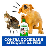 2 Condicionador Shampoo Pet Caes Gatos Clorexidina Seboreia Fragrância Suave Tom De Pelagem Recomendado Todas As Pelagem