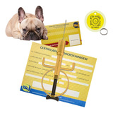 5 Microchip Seringado 2x12mm Animall Tag + Medalha Qr Code