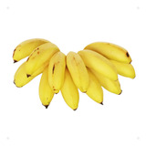 5 Mudas De Banana Maçã Brs Tropical Embrapa + Manual