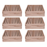 6 Caixa Abelha Langstroth Eucalipto Melgueira Quadros Apis