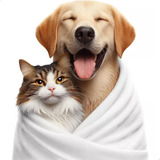 6 Toalha Banho Pet Enxuga Seca Gato Cachorro Macia Grande