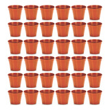 60 Vasinhos Para Suculenta Marrom 150ml Imediato