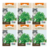 6x Sementes Erva Dos Gatos (nepeta Cataria) Catnip Topseed