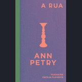 A Rua: Um Romance, De Petry, Ann. Série Selo Ilimitada Editora Carambaia Eireli, Capa Dura Em Português, 2021