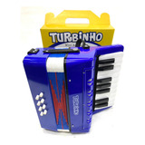 Acordeon Infantil Turbinho Sanfona Gaita Novo Original