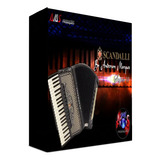 Acordeon Scandalli Super Vi A.m Samples