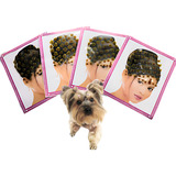 Adesivo Piercing Pet Bindi 120 Cartelas Banho Etosa Cachorro