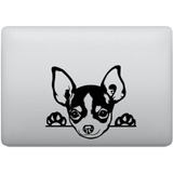 Adesivo Tablet Notebook Pc Cachorro Raça Chihuahua