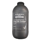 Aditivo Do Radiador Original Nissan Brprt20079