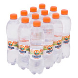 Água Mineral Lindoya Verão Com Gas Garrafa 510ml Fardo C/12u
