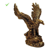 Aguia Dourada Da Sabedoria Estatua Decorativa Resina 17,5cm Cor Dourado