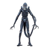 Aliens Xenomorph Warrior Series 2 Blue Neca Pronta