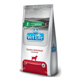 Alimento Vet Life Natural Canine Gastrointestinal Para Cão De Raza Todos Os Tamanhos Sabor Mix De 10.1 Kg