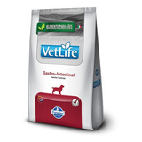 Alimento Vet Life Natural Canine Gastrointestinal Para Cão De Raza Todos Os Tamanhos Sabor Mix De 2 Kg
