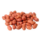 Amendoim Cavalo 2kg - Qualidade Premium