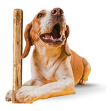 Amicus Brinquedo Cachorro Pet Mordedor G Sustentável Wood 30cm