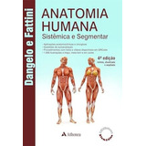 Anatomia Humana - Sistêmica E Segmentar: Sistêmica E Segmentar, De Fattini Américo., Vol. 1. Editorial Editora Atheneu, Capa Dura, Edição 4 Em Português, 2024