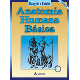 Anatomia Humana Básica, De Fattini, Carlo Américo. Editorial Editora Atheneu Ltda, Tapa Mole En Português, 2001
