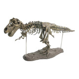 Animal De Brinquedo 4d Dinossauro Esqueleto Modelo Desmontad