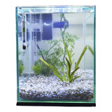 Aquário 10 Litros Classic Nano Filtro Decoração Natural