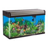 Aquário Boyu/jad Ea-120 246l (sem Móvel) Canto Curvo Com Led