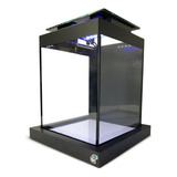 Aquário Quili Blackbox Nano Para Peixe Betta 10 Litros Com Luminária Led 110v/220v