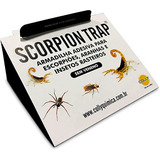 Armadilha Adesiva Escorpião C/ 20 Scorpion Trap Colly
