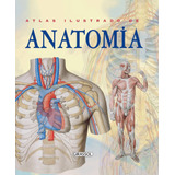 Atlas Ilustrado De Anatomia, De Rigutti, Adriana. Editora Girassol Brasil Edições Eireli, Capa Dura Em Português, 2005