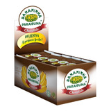 Bananinha Paraibuna Nova Chocolate 23g 20un Vegano Saudável