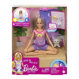 Barbie Medite Comigo Dia E Noite - Hhx64 - Mattel