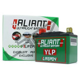 Bateria Lítio 14a Aliant Ylp14 Competição Motos - Escolha