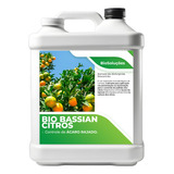 Beauveria Bassiana Controle Do Ácaro Rajado Frutíferas 5l