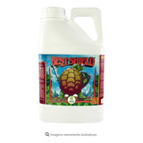 Best Shield - 20 Litros