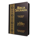 Biblia Letra Gigante Extra Gigante Jumbo Zíper A Marrom Índi
