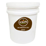 Bicarbonato De Sódio Pote 1kg 100% Puro - X Roots