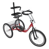 Bicicleta Triciclo Infantil Especial Adaptado Aro 20 