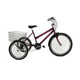Bicicleta Triciclo Luxo Aro 26 Completo Com 21v Freio Disco