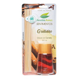 Blister Amazonia Aromas 120ml Cravo E Canela
