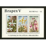 Bloco Filatélico - Rhm B.51 - 5a Brapex - Blumenau - L.1732