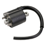 Bobina De Ignição Faisca Externa Yamaha Fazer 250 Magnetron