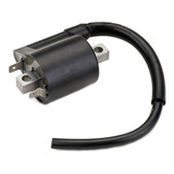 Bobina De Ignição Faisca Externa Yamaha Fazer 250 Magnetron