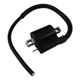 Bobina Faisca Externa Ybr 125 Factor 125 Xtz 125