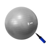 Bola Suiça Pilates Yoga Abdominal Gym Ball 75cm Bomba Grátis Cor Cinza-claro