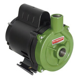 Bomba Centrífuga Monofásica Schneider Bc-98 0.33hp Cor Verde 60hz 220v