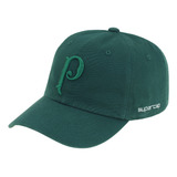 Boné Palmeiras Infantil Supercap Aba Curva Símbolo Oficial