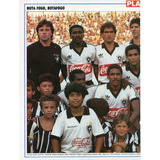 Botafogo Campeão Taça Guanabara 1988 - Pôster
