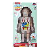 Brinquedo Kit Medico Boneco Corpo Humano 24cm Toyng 42580